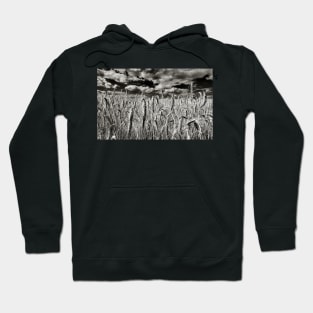 Corona Virus Scary Horror Landscape Photography Hoodie